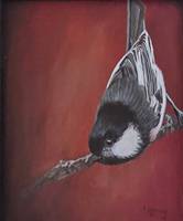 Chickadee