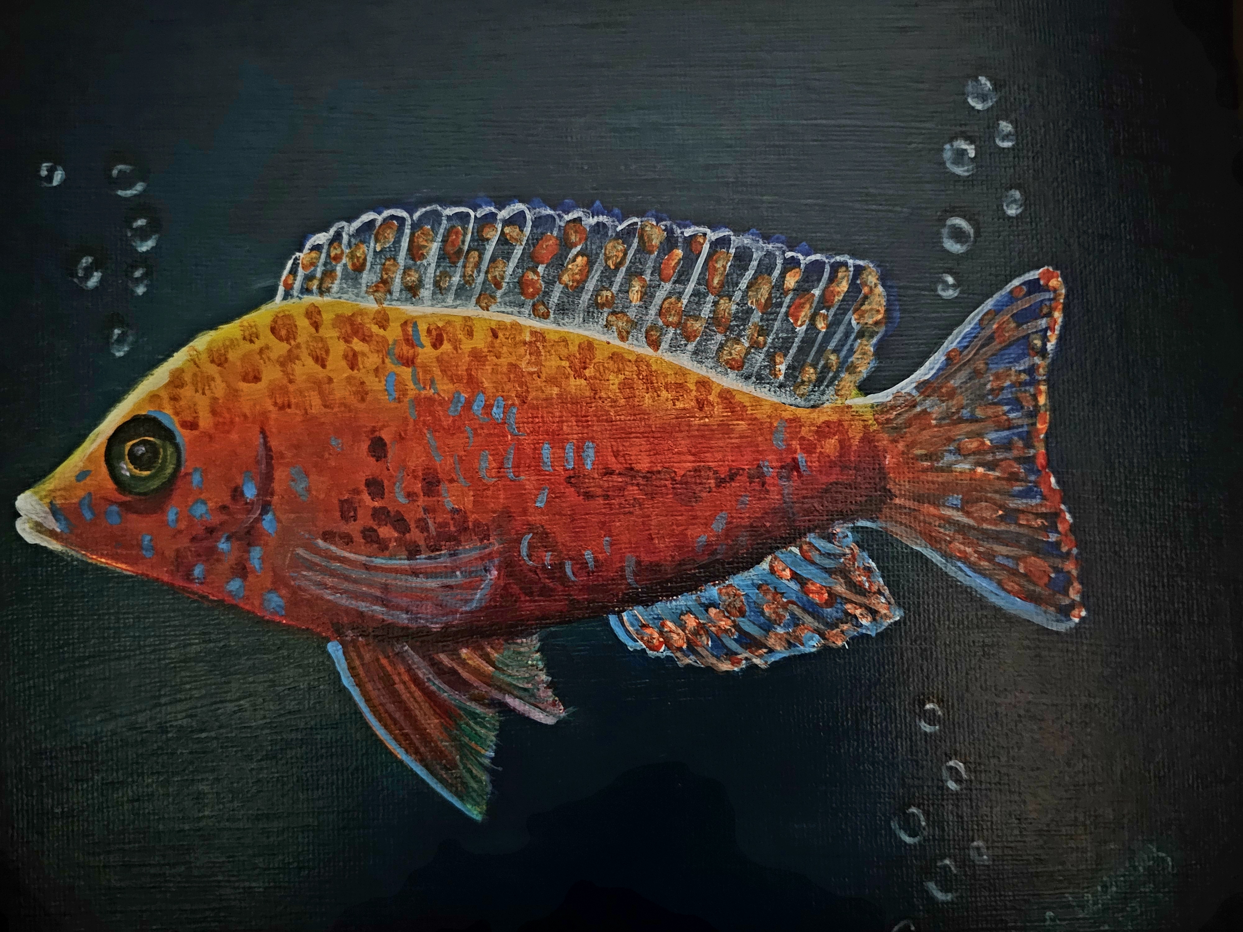 Fish