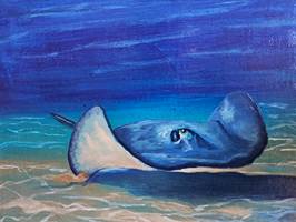 Stingray