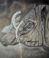 warthog