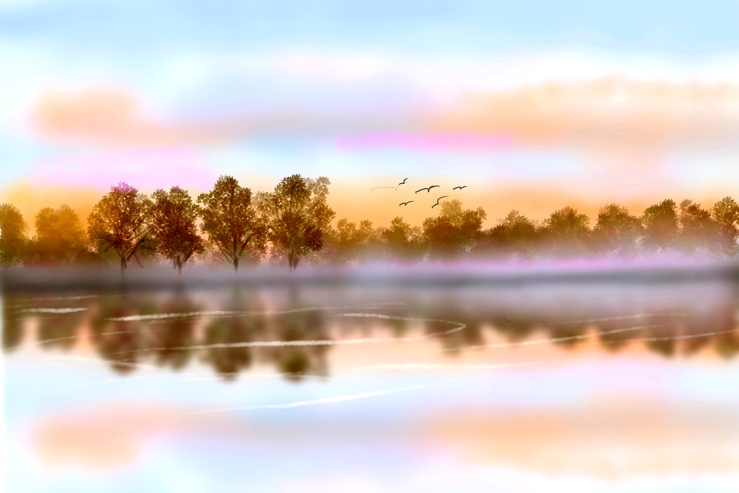 Dawn on the Lake