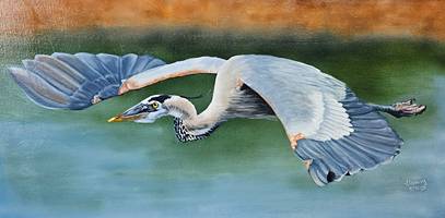 Heron