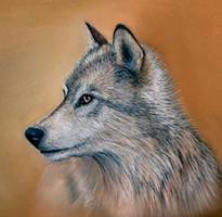 August Wolf