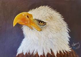 Eagle