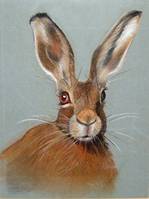 Hare