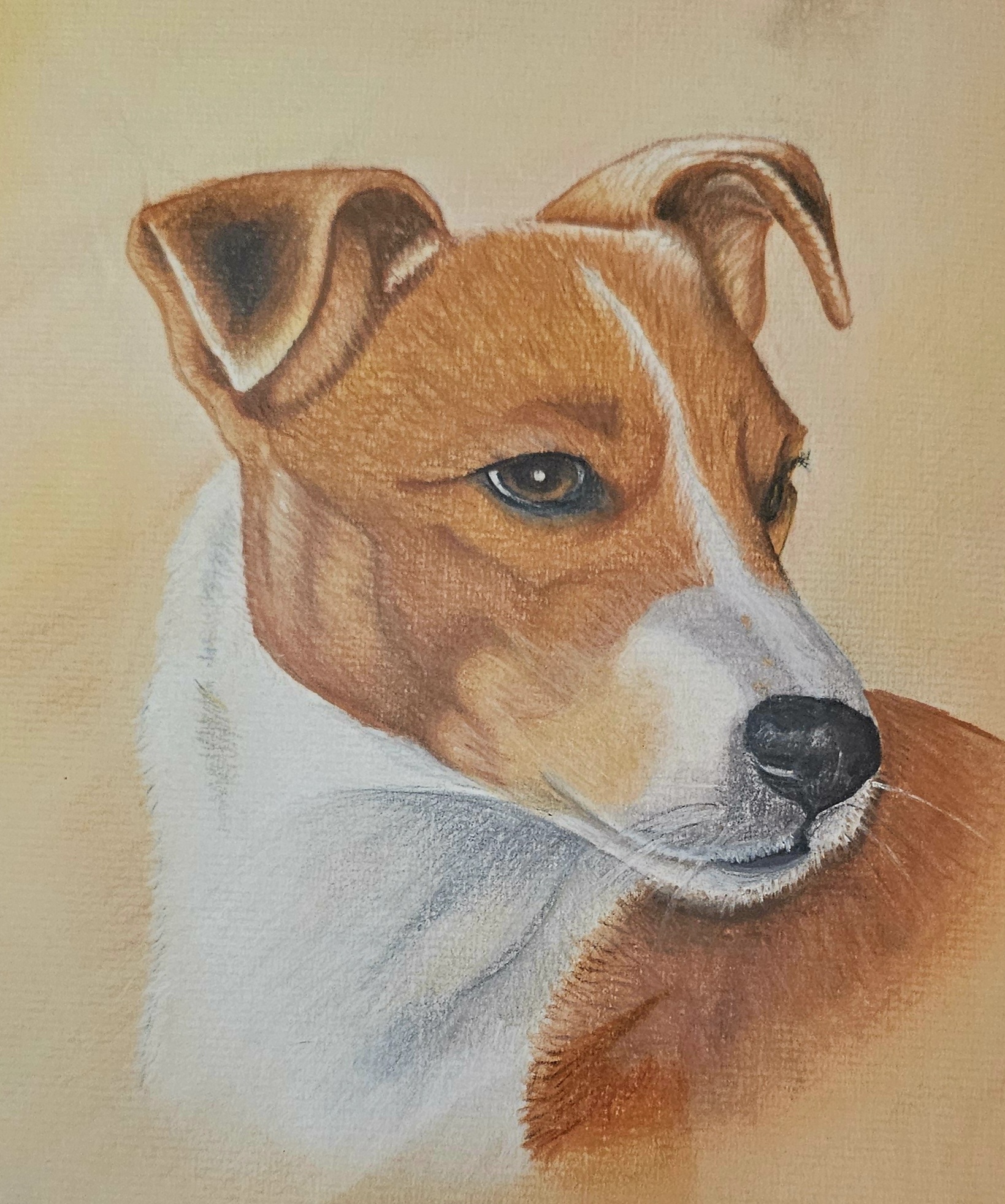 Jack Russle