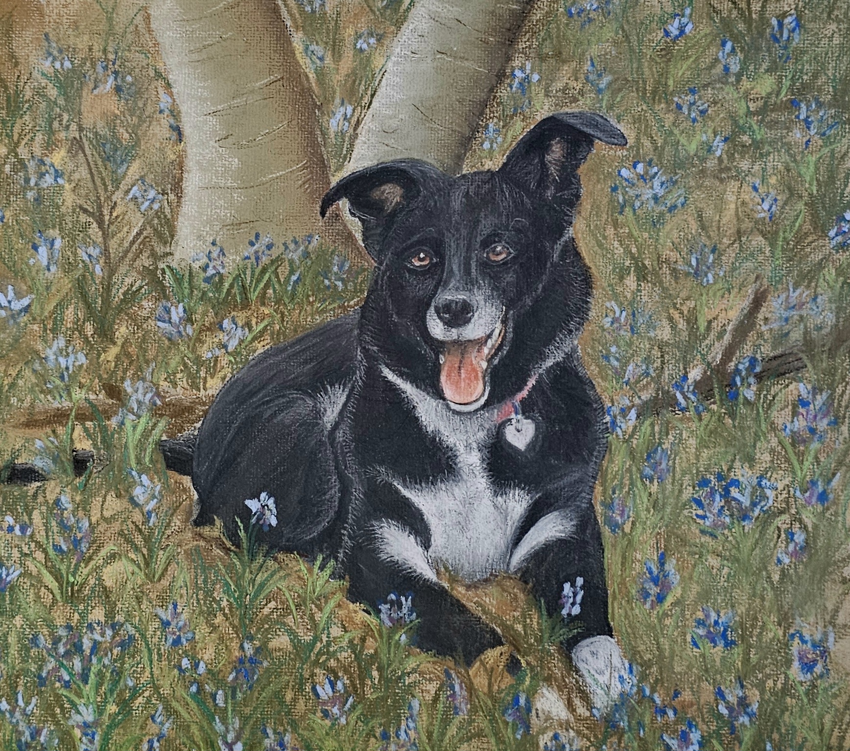 Kalar in the Bluebells