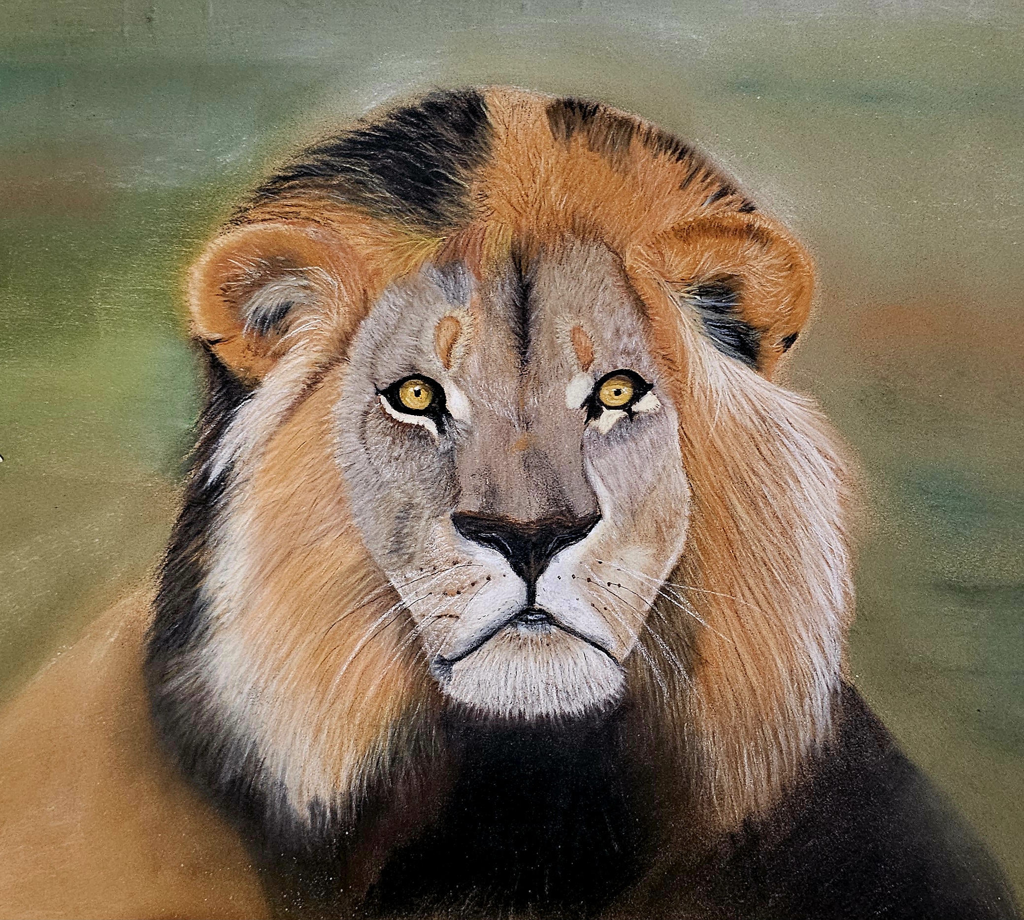 Lion