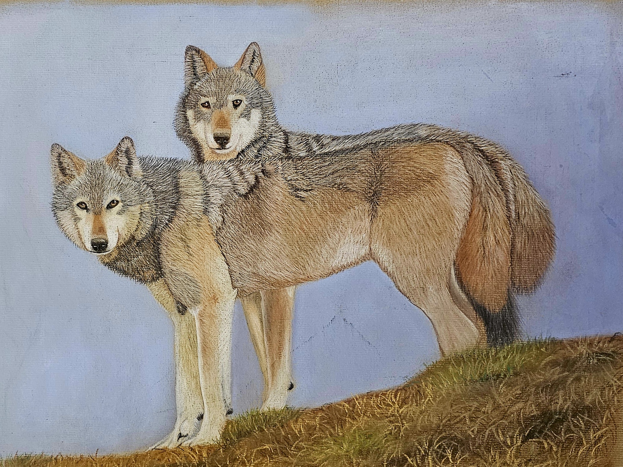 Duma & Dakota