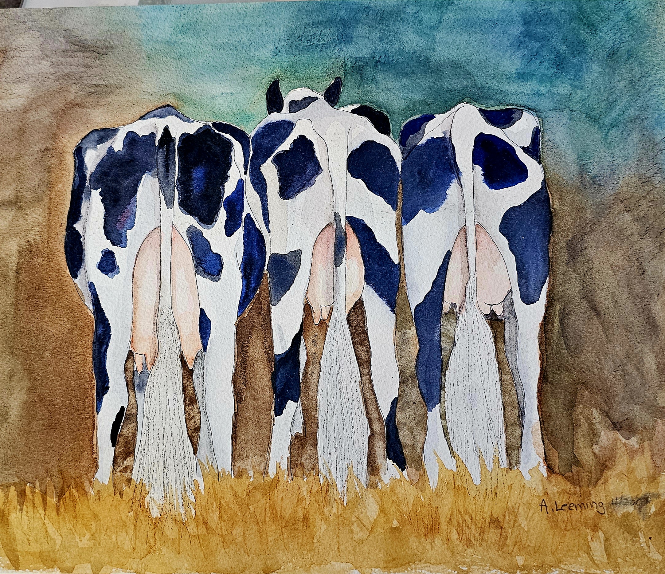 Cow Butts
