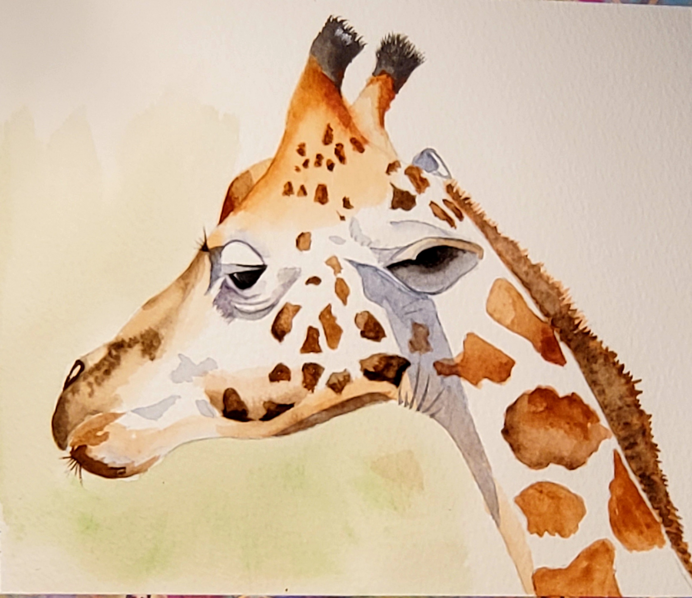 Giraffe