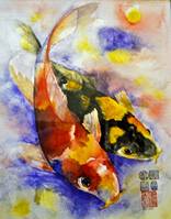 Koi