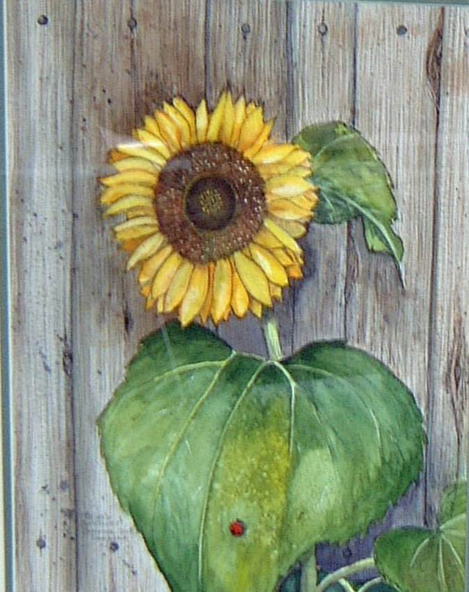 B's Sunflower