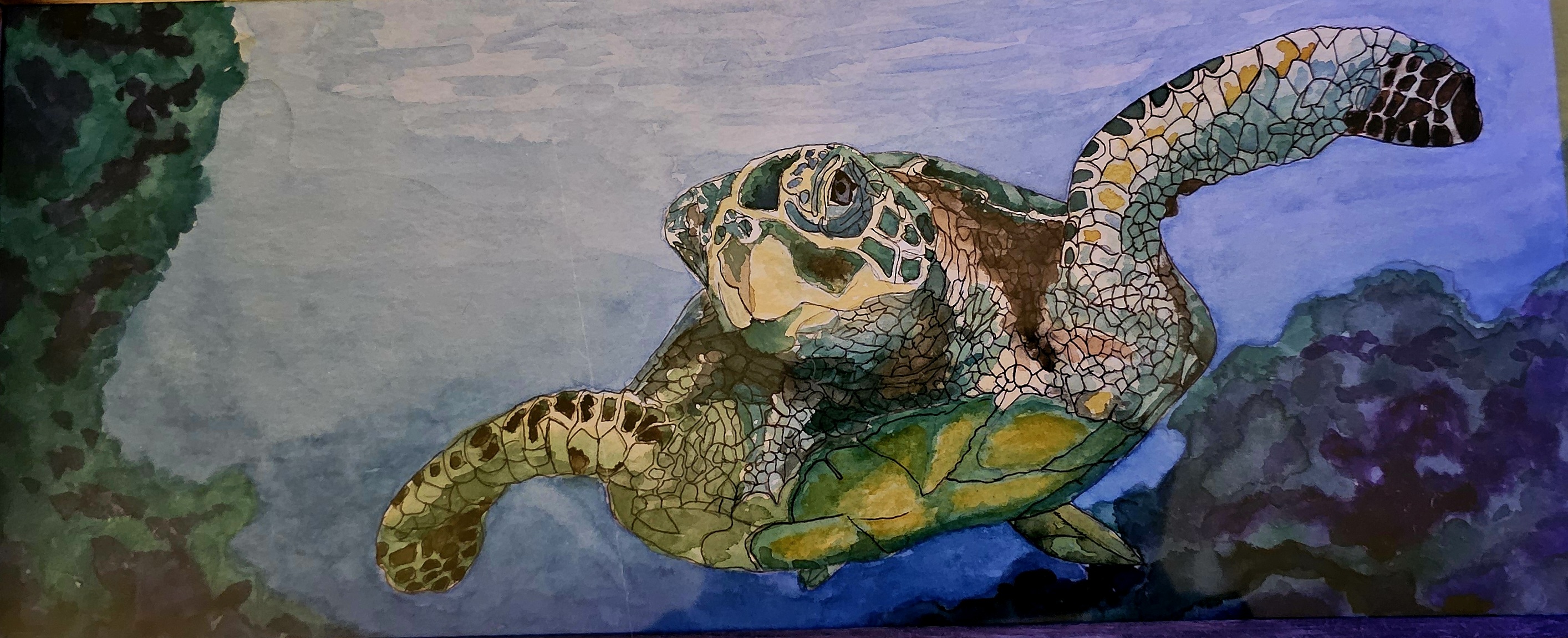 Sea Turtle