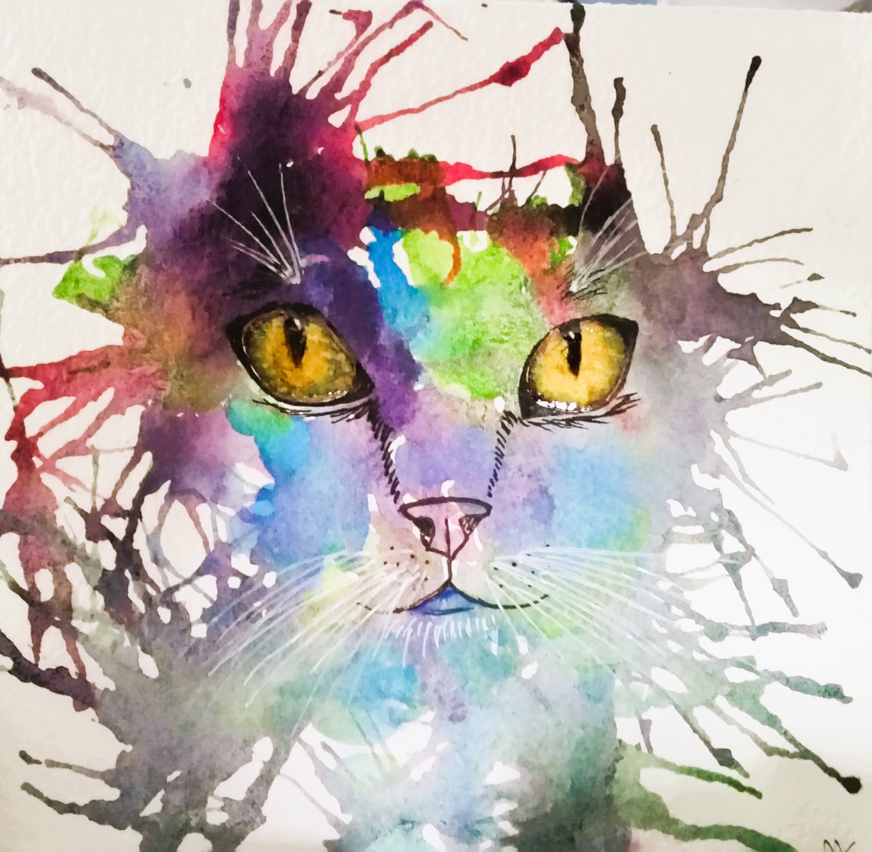 Cat